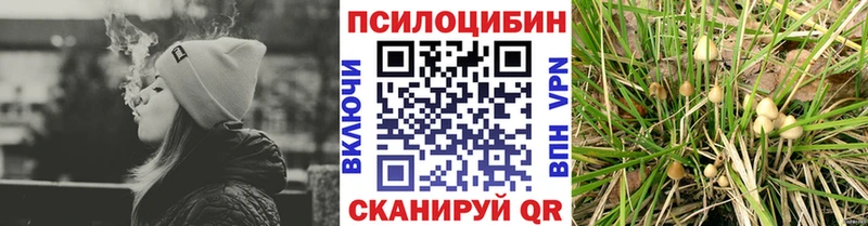 ОМГ ОМГ зеркало  Пошехонье  Псилоцибиновые грибы Magic Shrooms  где можно купить  